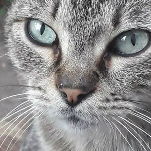 Meet your Posher, Agnes